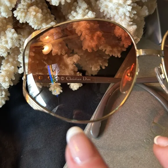 Christian Dior Sunny’s Full Inclusion